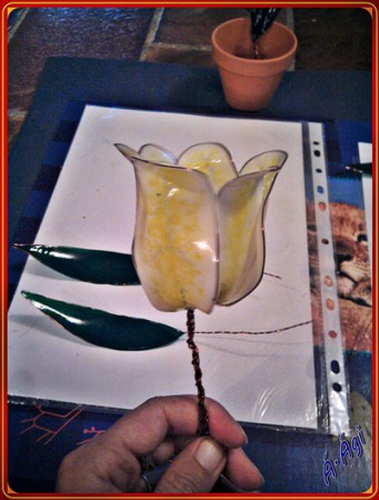 3D tulipán 2